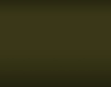Échantillon film covering APA JP/R84.4 – Satin Black Olive