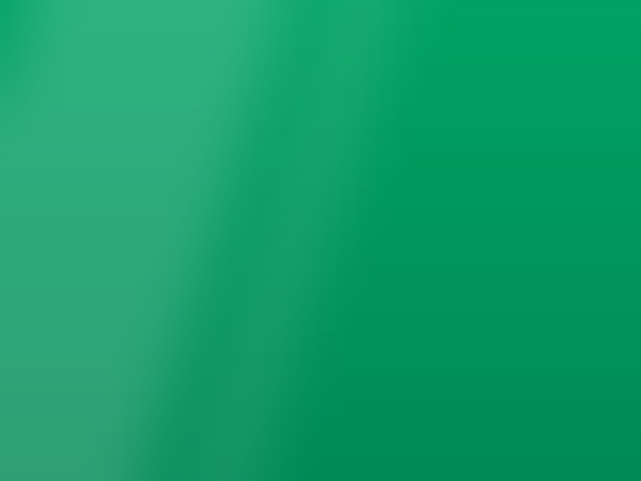 Avery 800 PC – Vert Cactus Brillant – vinyle adhésif de découpe Brillant Vert Cactus Avery Dennison® 800 PC