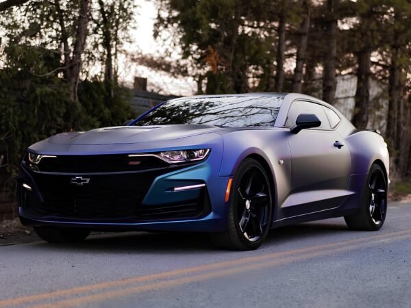 Purple/Blue Matt Iridescent